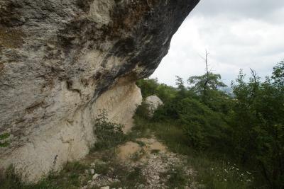 Прикрепленное изображение: DSC03376-1.jpg